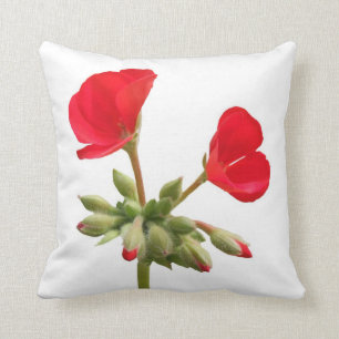 Almofada Travesseiro vermelho do gerânio
