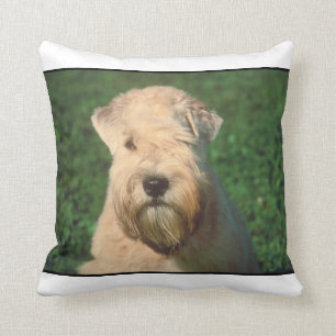 Almofada Travesseiro Wheaten brandamente revestido de