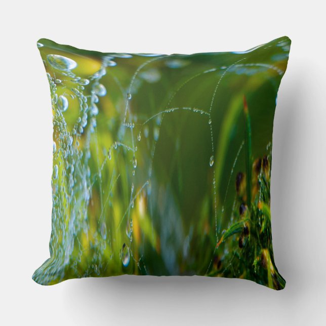 Almofada Travesseiros decorativos Web Spider (Frente)