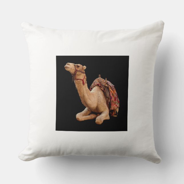 Almofada Travesseiros e Poufs (Frente)