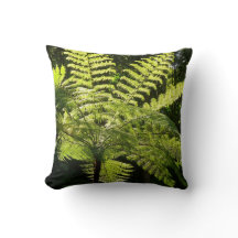 Tree Fern na Floresta Tropical