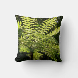 Almofada Tree Fern na Floresta Tropical
