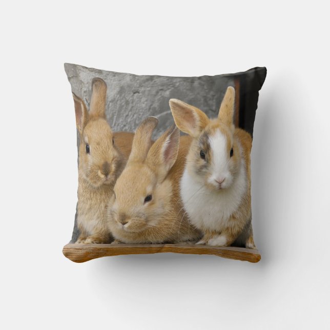 Almofada Três Coelhos De Coelhinho De Bebê (Frente)