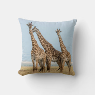 Almofada Três girafas posando