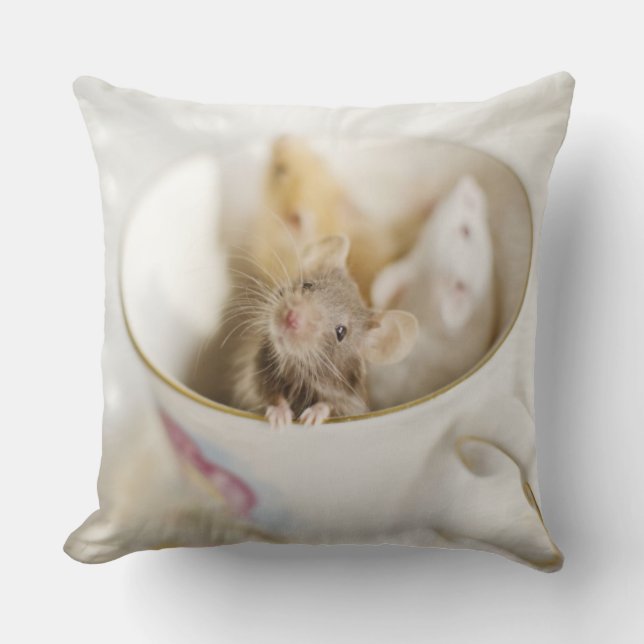 Almofada Três ratos pequenos (Frente)
