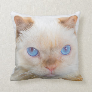 Almofada Trident o travesseiro decorativo do gato