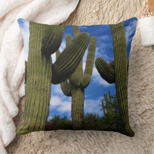 Almofada Trio do cacto do Saguaro/céu azul & nuvens/arizon