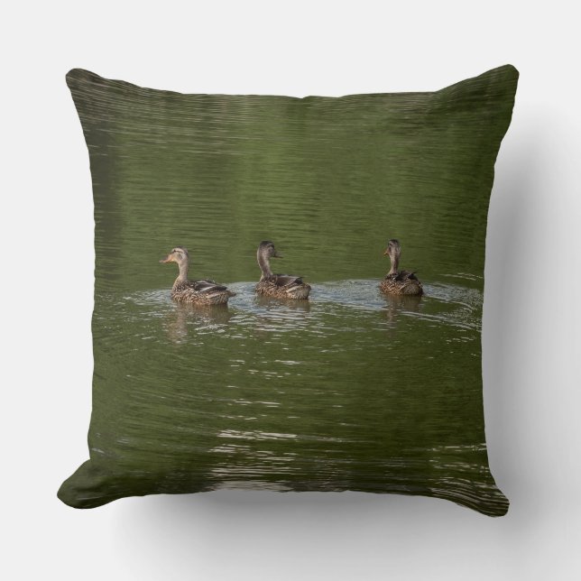 Almofada Trio of Ducks (Frente)