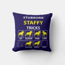Truques Staffy Stubborn