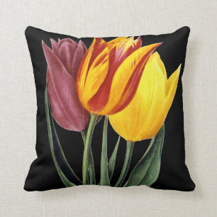 Almofada Tulipa (Tulipa Gesneriana)
