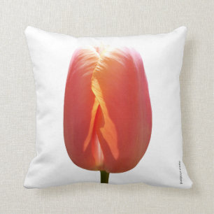Almofada Tulipa vermelha