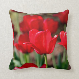 Almofada Tulipas vermelhas