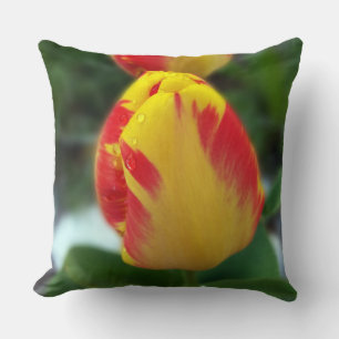 Almofada tulipas vermelhas amarelas