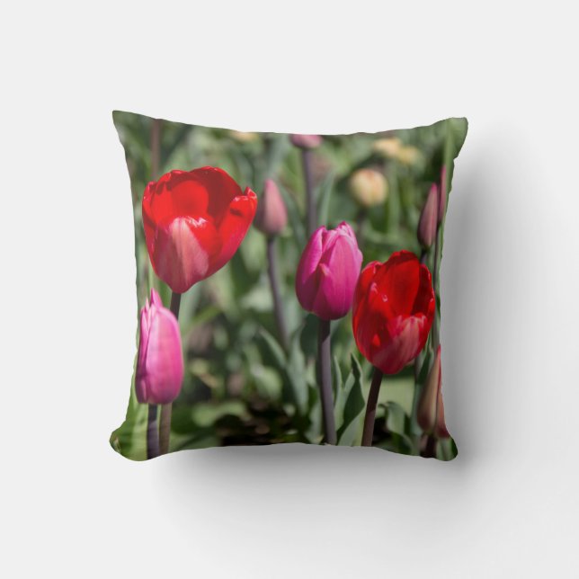 Almofada Tulipas vermelhas e roxas, poster (Frente)
