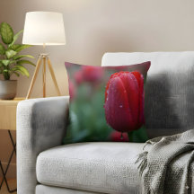 Tulpa Vermelha Elegante com Gotas Dew