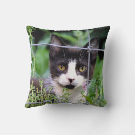 Almofada Tuxedo Kitten no Jardim