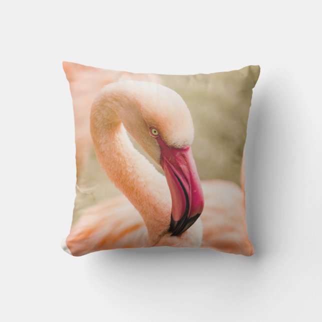 Almofada Um Belo Flamingo Rosa (Frente)