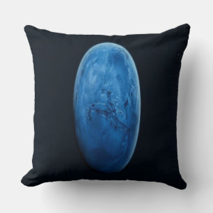 Almofada Um Belo Planeta Azul