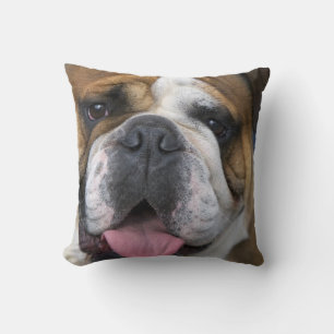 Almofada Um bulldog inglês na Bélgica