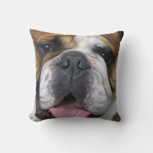 Almofada Um bulldog inglês na Bélgica.