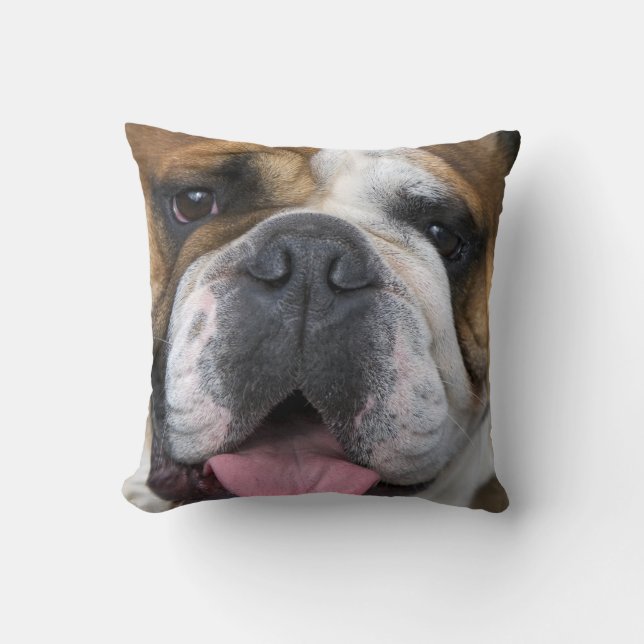 Almofada Um bulldog inglês na Bélgica. (Frente)