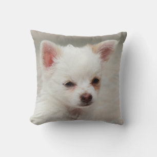 Almofada Um cachorrinho Chihuahua em um jardim