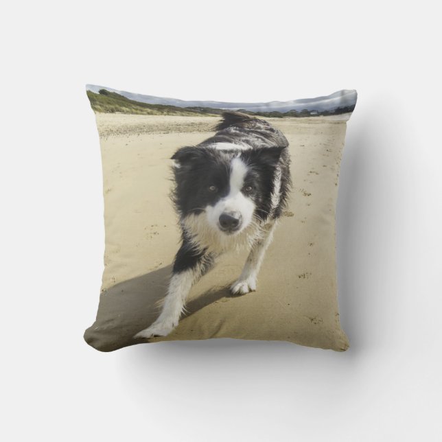 Almofada Um cão de border collie que funciona na praia (Frente)