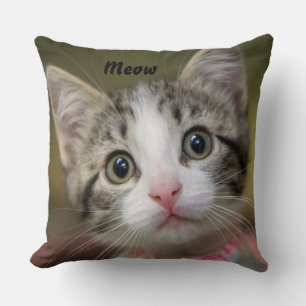Almofada Um gatinho fofo com olhos verdes