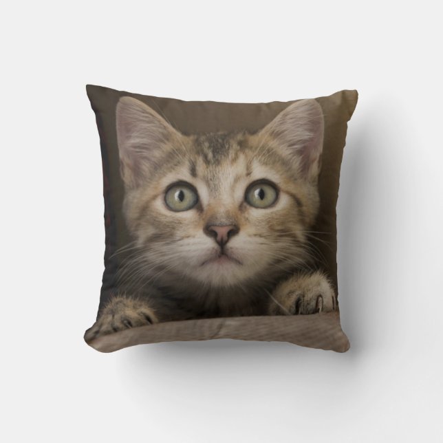 Almofada Um gatinho muito doce do gato malhado (Frente)