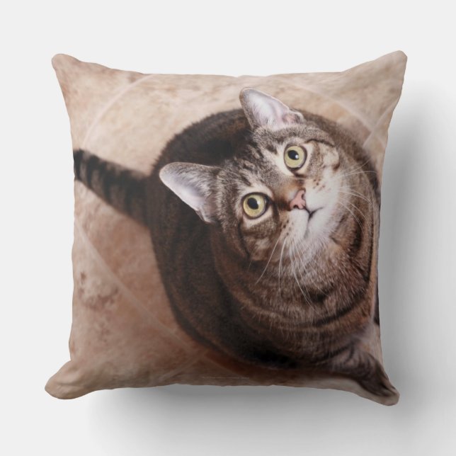 Almofada Um gato de gato malhado que olha acima (Frente)