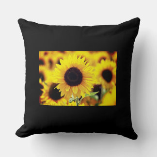 Almofada um girassol amarelo colorido vaso preto floral pi