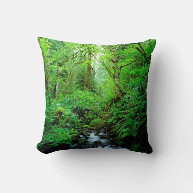 Almofada Um riacho em uma floresta primária (Frente)