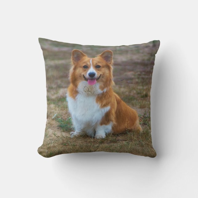 Almofada Um travesseiro decorativo fofo de cachorro Corgi (Frente)