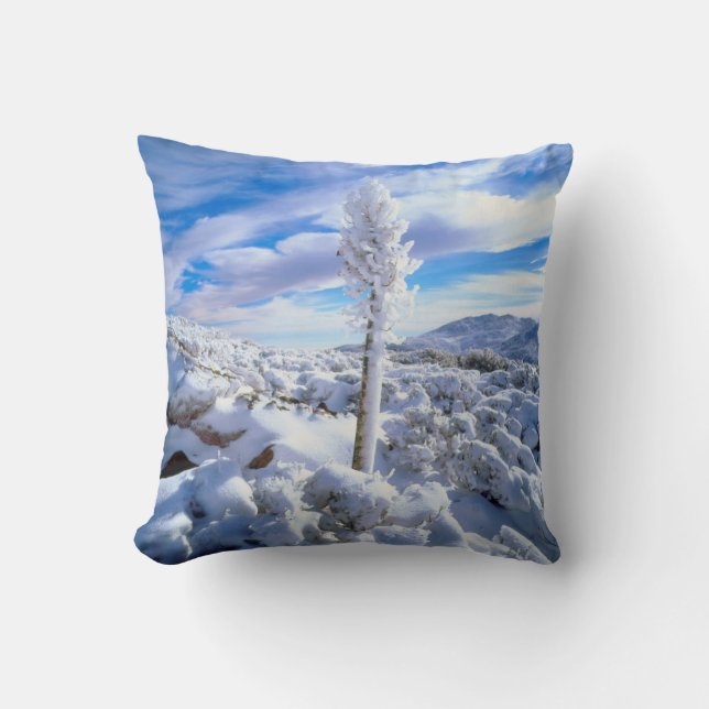 Almofada Um yucca coberto de neve (Frente)