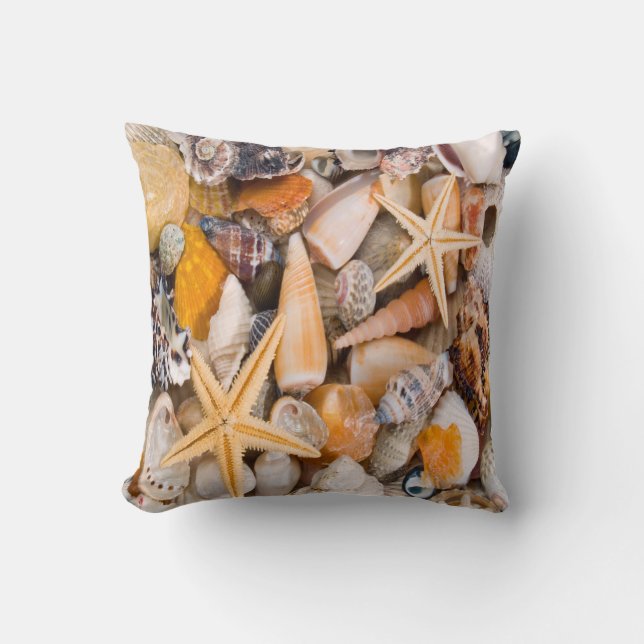 Almofada Uma coleção bonita dos Seashells em um coxim (Frente)