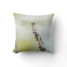 Uma libélula perfurada! Do amante da natureza