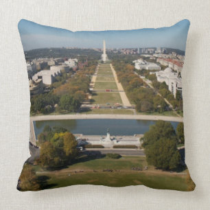Almofada Uma opinião da paisagem do Washington DC