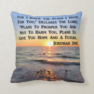 ALMOFADA UPLIFICANDO O SOL JEREMIAH 29:11
