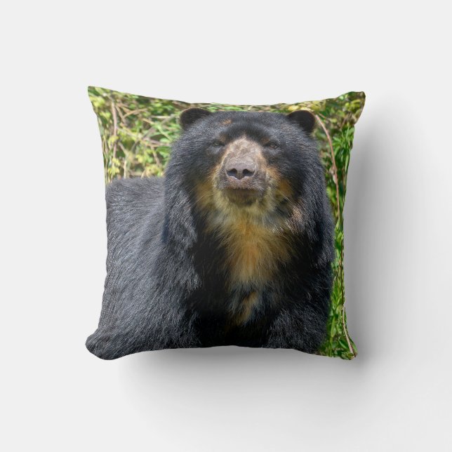 Almofada Urso Andino de Fecho (Frente)