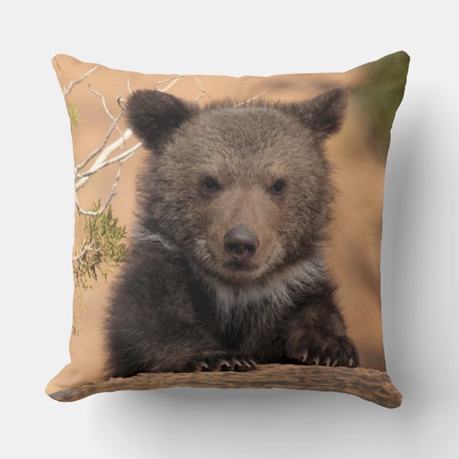 Almofada Urso Cub do urso (Frente)