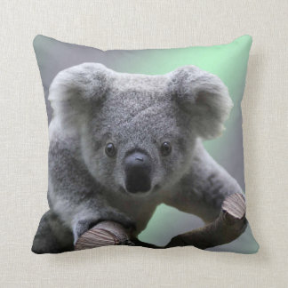 Almofada Urso de Koala