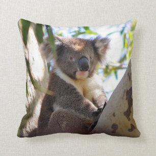Almofada Urso de Koala no travesseiro decorativo animal