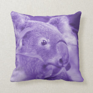 Almofada urso de koala que olha o marsupial roxo direito