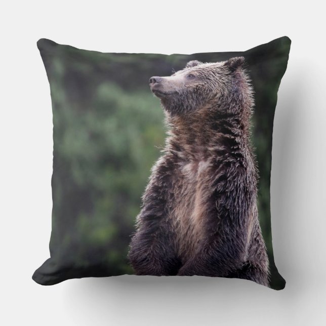 Almofada Urso de urso ereto (Frente)