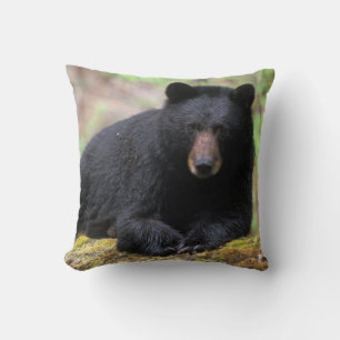 Almofada Urso negro em um antigo tronco de crescimento no