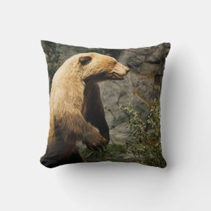Almofada Urso Ordenado
