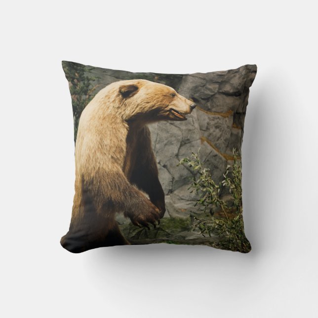 Almofada Urso Ordenado (Frente)