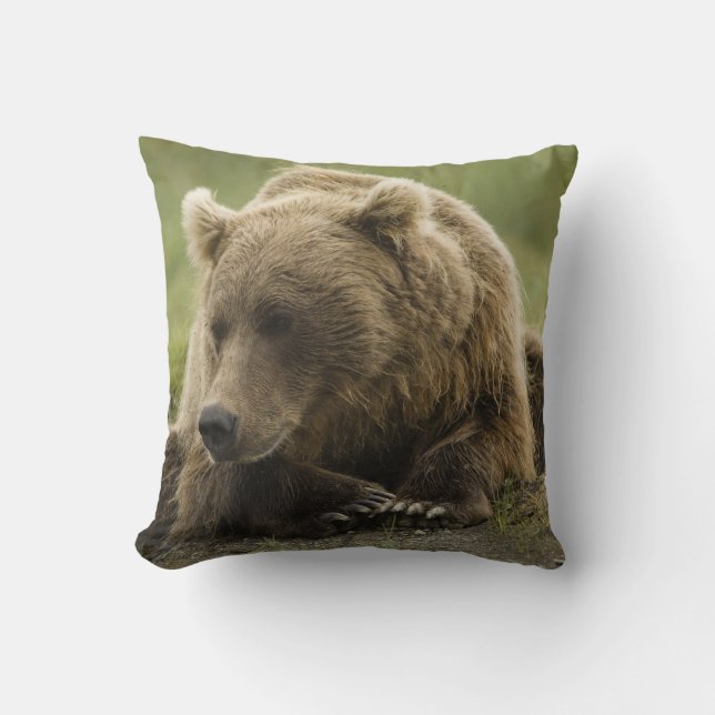 Almofada Urso pardo, ou Urso Cinzento Costeiro, Ursus (Frente)