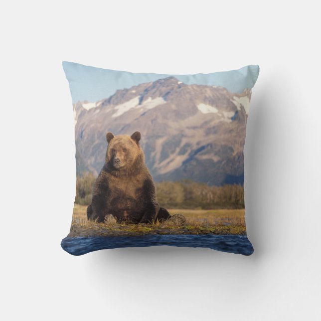 Almofada urso pardo, Ursus arctos, urso cinzento, Ursus (Frente)