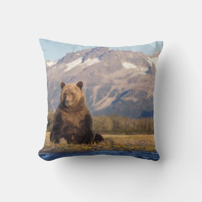 Almofada urso pardo, Ursus arctos, urso cinzento, Ursus (Frente)